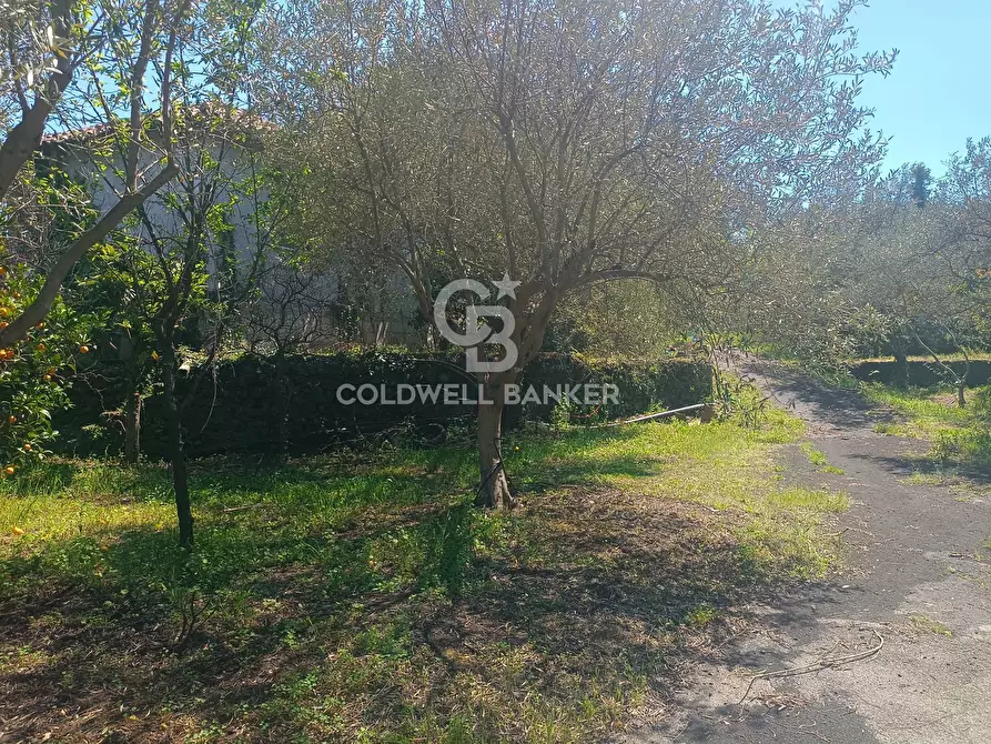 Immagine 15 di Casa indipendente in vendita  in via cent' anni 21 a Santa Venerina