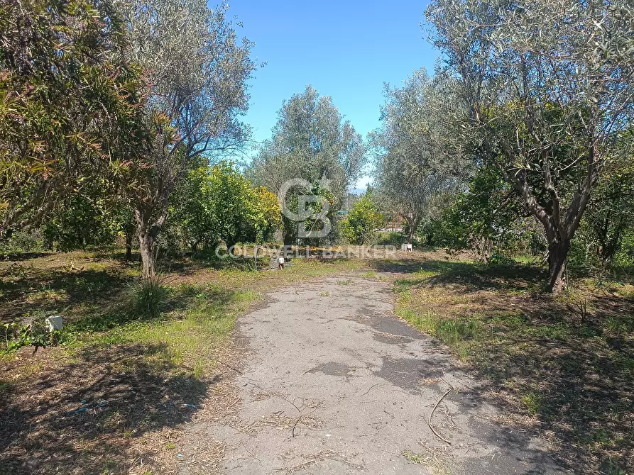 Immagine 6 di Casa indipendente in vendita  in via cent' anni 21 a Santa Venerina