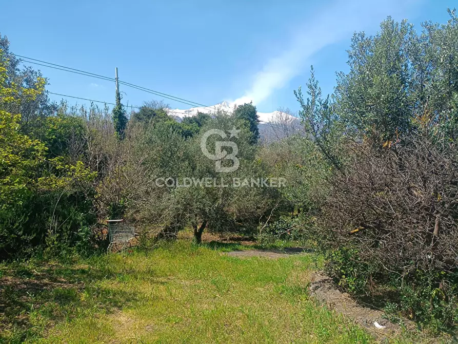 Immagine 8 di Casa indipendente in vendita  in via cent' anni 21 a Santa Venerina