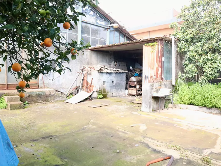 Immagine 9 di Terreno residenziale in vendita  in Via Rinazzo (Pozzillo) 5 a Acireale