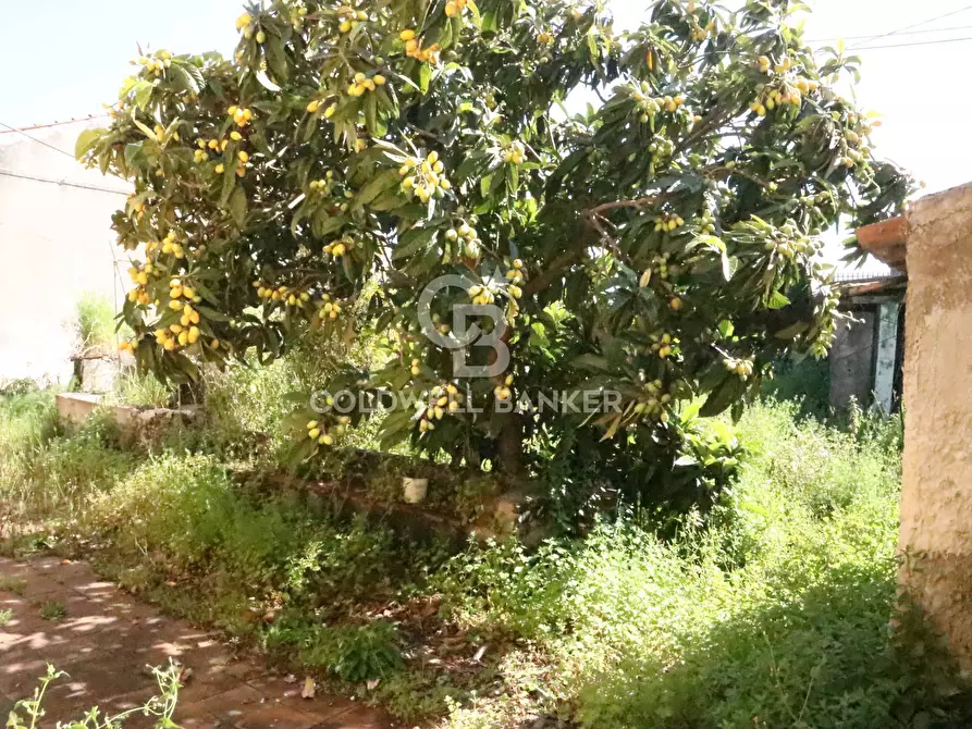 Immagine 6 di Terreno residenziale in vendita  in Via Fondi (Pozzillo) 29 a Acireale