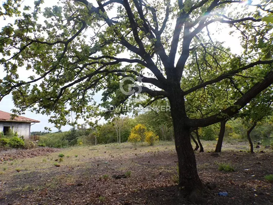 Immagine 1 di Terreno residenziale in vendita  in via Archimede 39 a Pedara