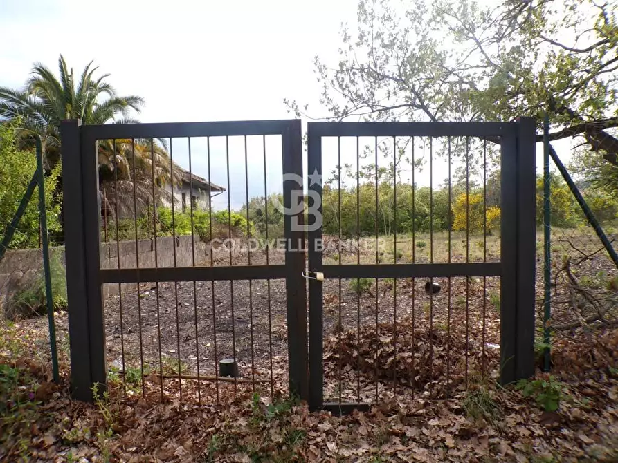 Immagine 2 di Terreno residenziale in vendita  in via Archimede 39 a Pedara