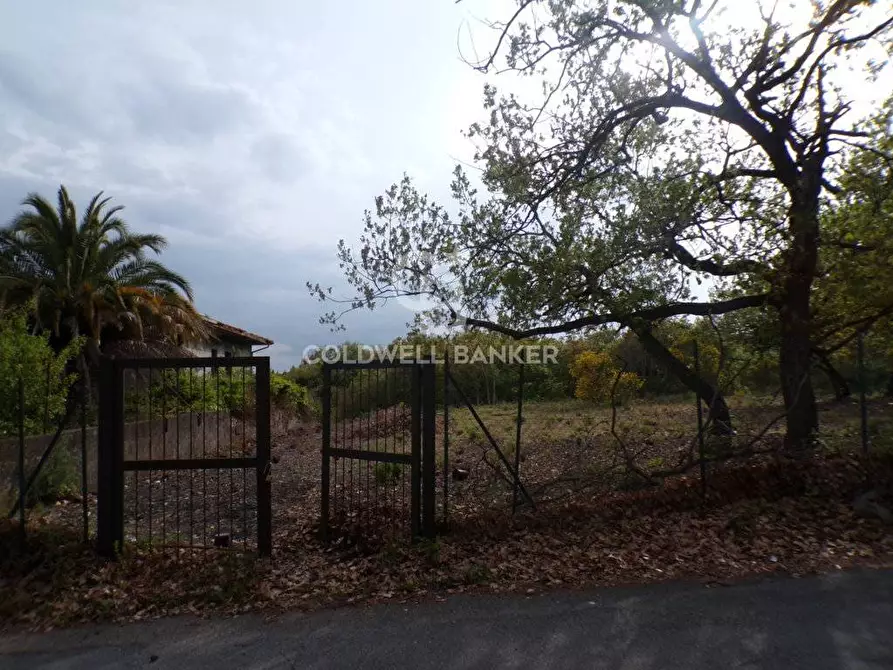 Immagine 3 di Terreno residenziale in vendita  in via Archimede 39 a Pedara