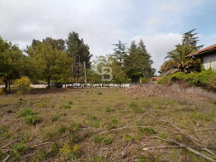 Immagine 4 di Terreno residenziale in vendita  in via Archimede 39 a Pedara