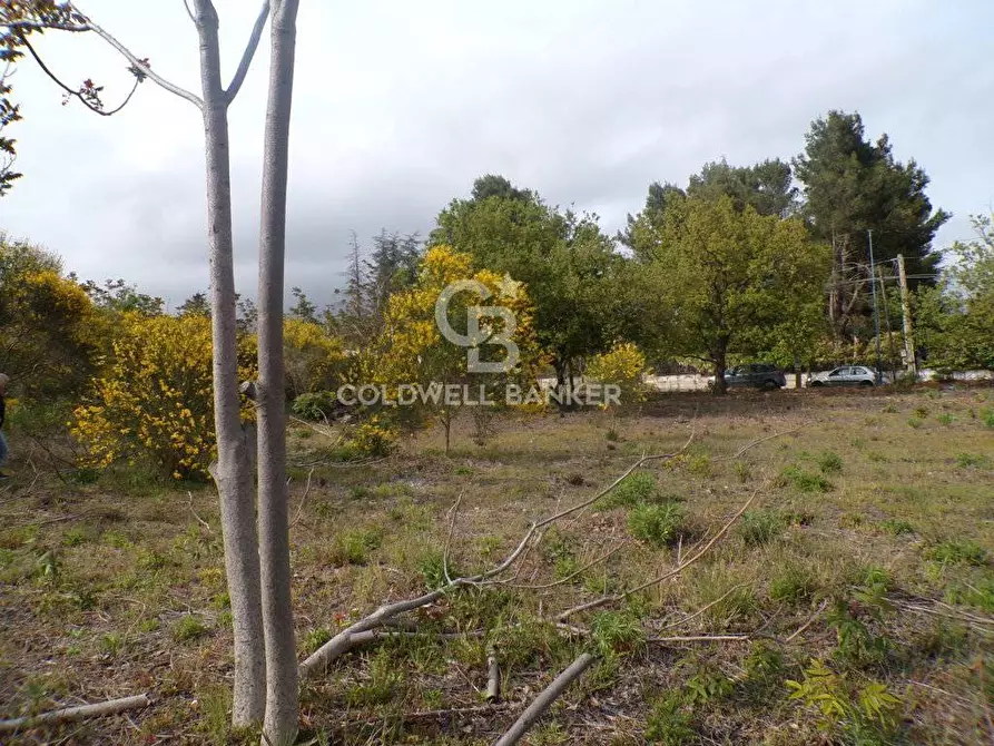 Immagine 5 di Terreno residenziale in vendita  in via Archimede 39 a Pedara