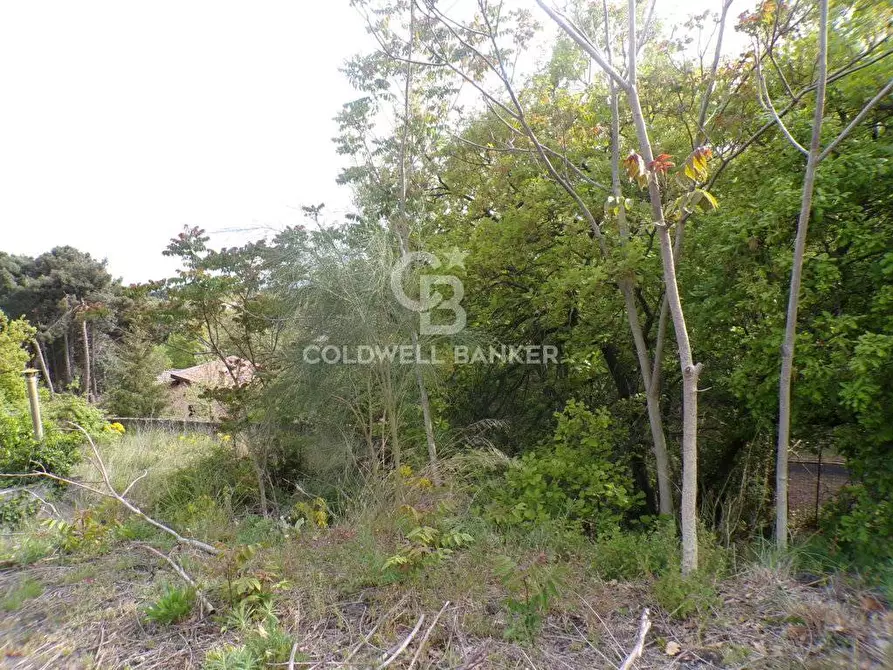 Immagine 6 di Terreno residenziale in vendita  in via Archimede 39 a Pedara