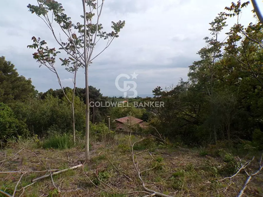 Immagine 7 di Terreno residenziale in vendita  in via Archimede 39 a Pedara