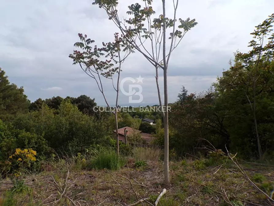 Immagine 8 di Terreno residenziale in vendita  in via Archimede 39 a Pedara