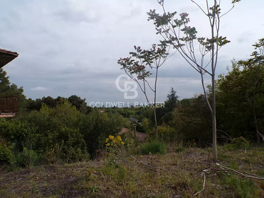 Immagine 9 di Terreno residenziale in vendita  in via Archimede 39 a Pedara