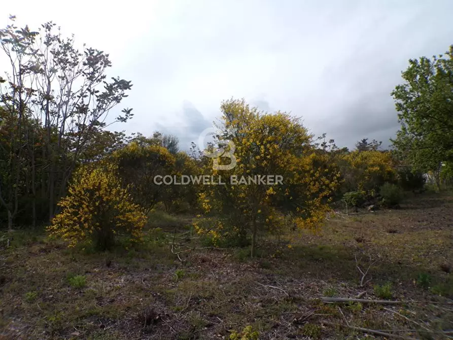 Immagine 10 di Terreno residenziale in vendita  in via Archimede 39 a Pedara