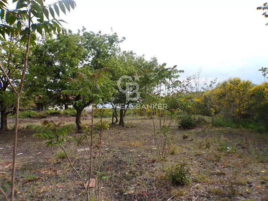 Immagine 12 di Terreno residenziale in vendita  in via Archimede 39 a Pedara