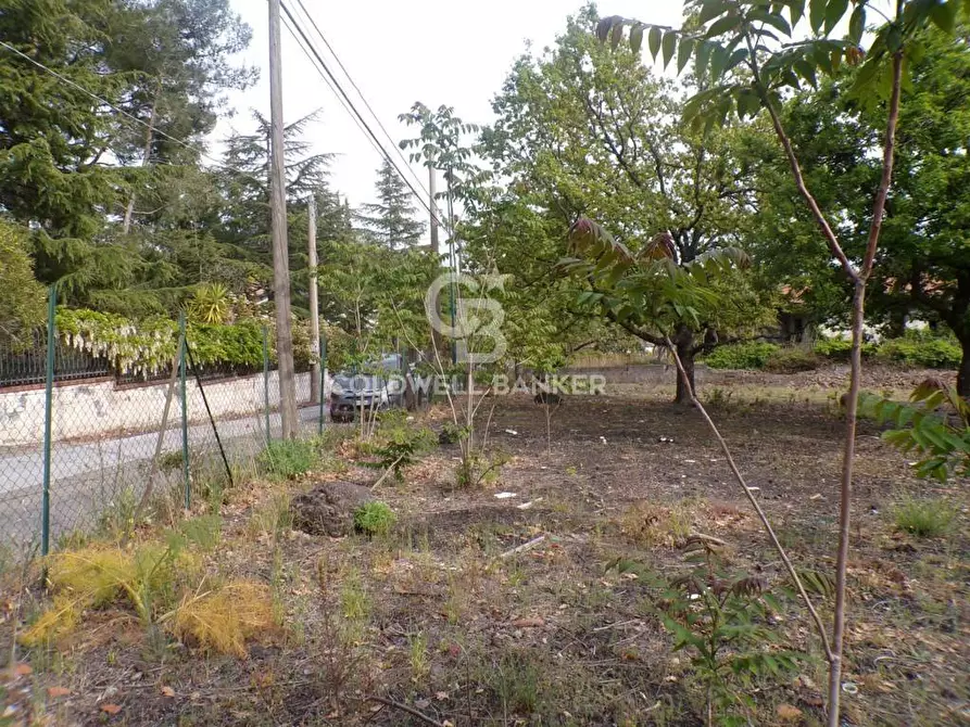 Immagine 13 di Terreno residenziale in vendita  in via Archimede 39 a Pedara