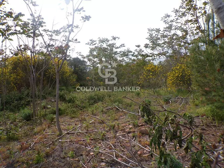 Immagine 15 di Terreno residenziale in vendita  in via Archimede 39 a Pedara