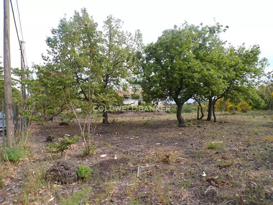 Immagine 16 di Terreno residenziale in vendita  in via Archimede 39 a Pedara