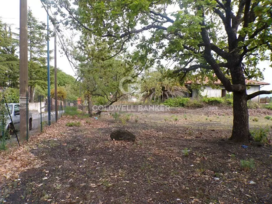 Immagine 19 di Terreno residenziale in vendita  in via Archimede 39 a Pedara