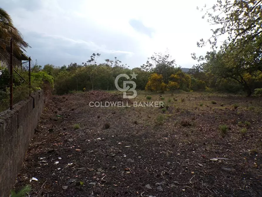 Immagine 22 di Terreno residenziale in vendita  in via Archimede 39 a Pedara