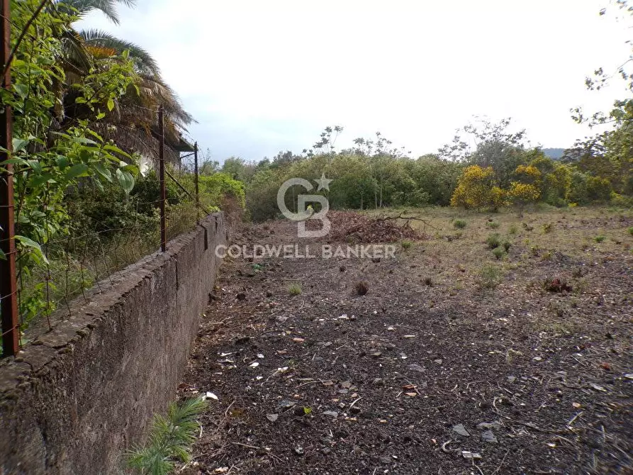 Immagine 23 di Terreno residenziale in vendita  in via Archimede 39 a Pedara
