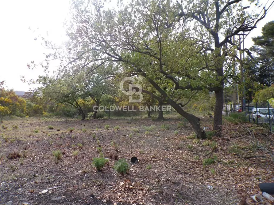 Immagine 24 di Terreno residenziale in vendita  in via Archimede 39 a Pedara