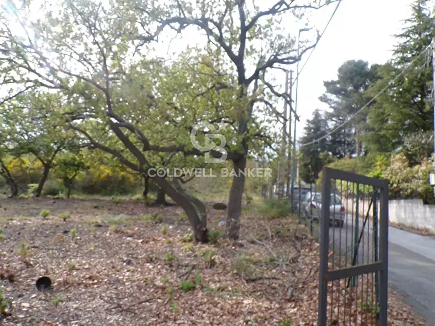 Immagine 25 di Terreno residenziale in vendita  in via Archimede 39 a Pedara