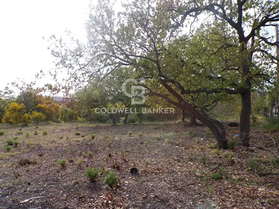 Immagine 26 di Terreno residenziale in vendita  in via Archimede 39 a Pedara