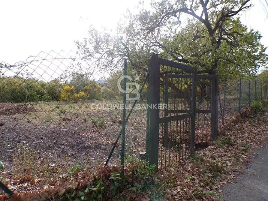 Immagine 28 di Terreno residenziale in vendita  in via Archimede 39 a Pedara