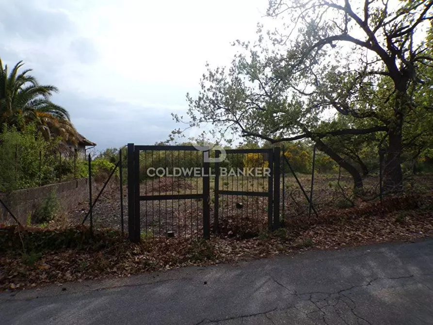 Immagine 29 di Terreno residenziale in vendita  in via Archimede 39 a Pedara