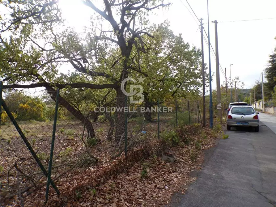 Immagine 30 di Terreno residenziale in vendita  in via Archimede 39 a Pedara