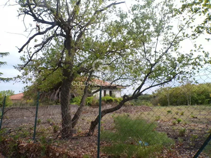 Immagine 33 di Terreno residenziale in vendita  in via Archimede 39 a Pedara