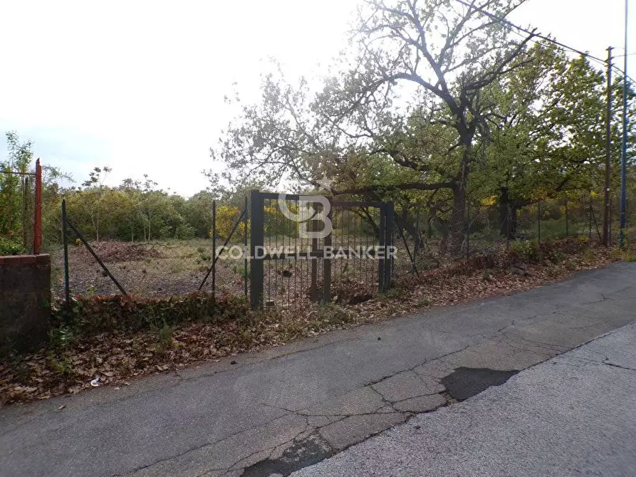 Immagine 35 di Terreno residenziale in vendita  in via Archimede 39 a Pedara