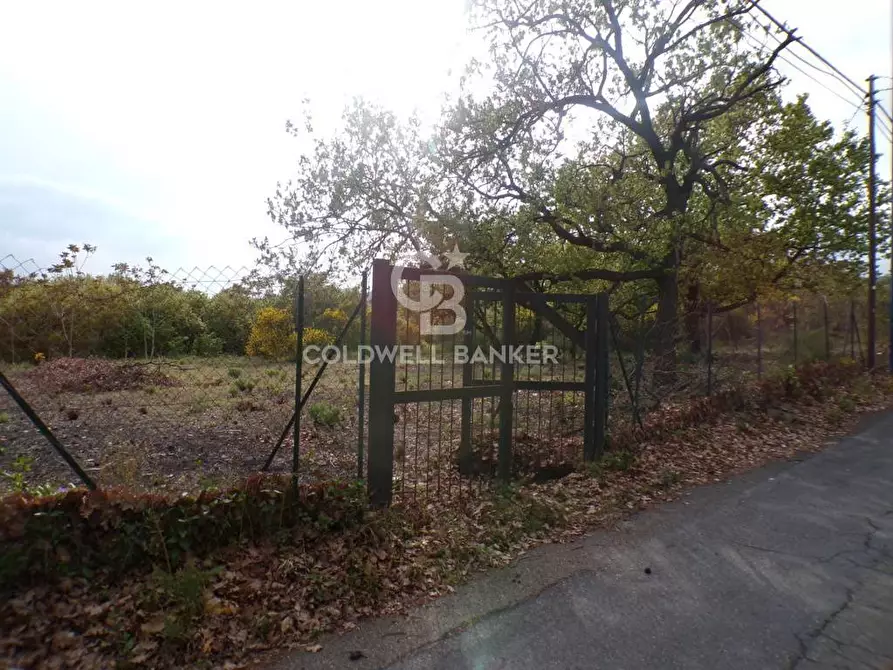 Immagine 36 di Terreno residenziale in vendita  in via Archimede 39 a Pedara