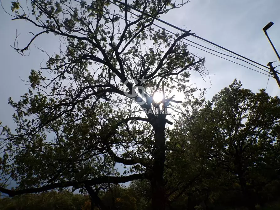 Immagine 37 di Terreno residenziale in vendita  in via Archimede 39 a Pedara