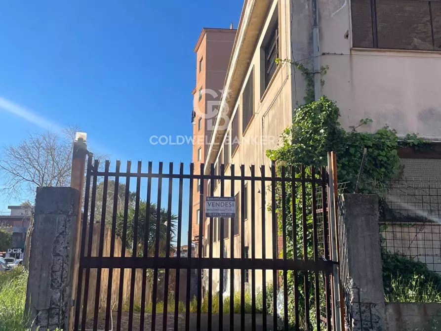 Immagine 1 di Magazzino in affitto  in Viale Mario Rapisardi a Catania
