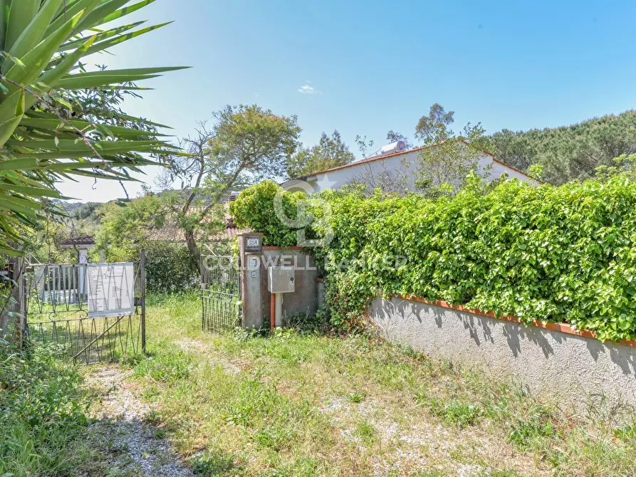 Immagine 19 di Villa in vendita  in Via di Literno a Marciana