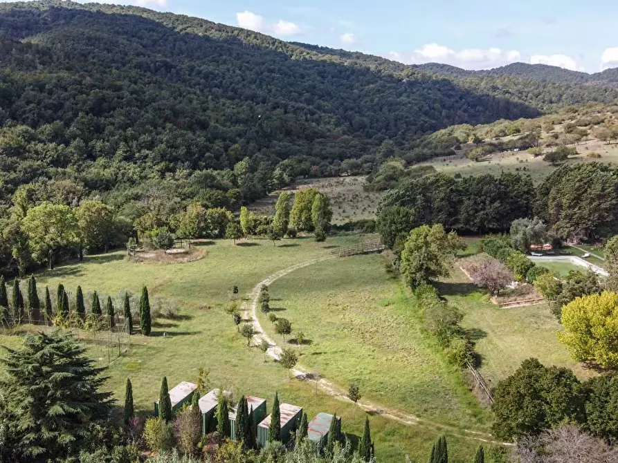 Immagine 5 di Villa in vendita  in S.P. Santa Severa - Tolfa km. 17.500 a Allumiere