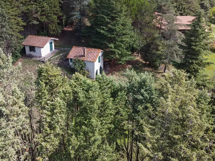 Immagine 38 di Villa in vendita  in S.P. Santa Severa - Tolfa km. 17.500 a Allumiere