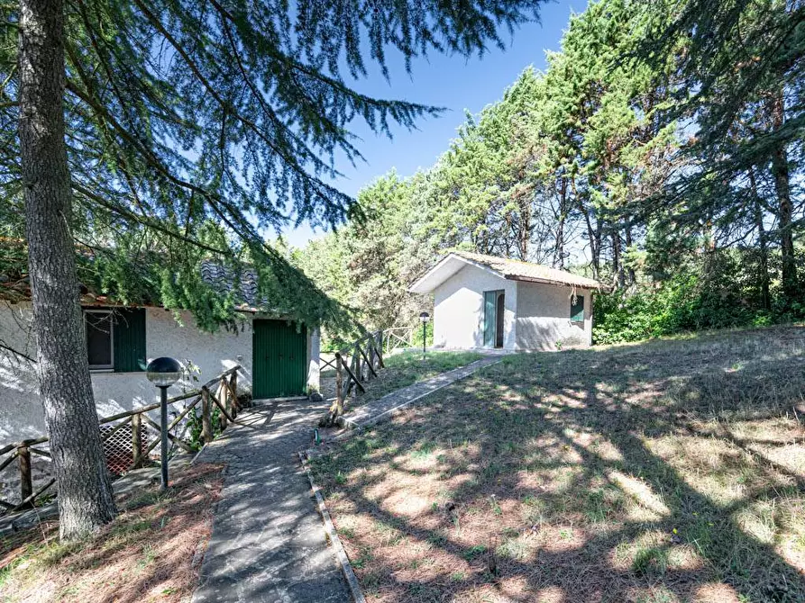 Immagine 39 di Villa in vendita  in S.P. Santa Severa - Tolfa km. 17.500 a Allumiere