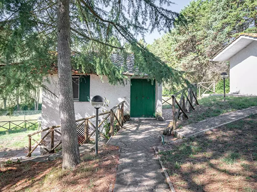 Immagine 42 di Villa in vendita  in S.P. Santa Severa - Tolfa km. 17.500 a Allumiere