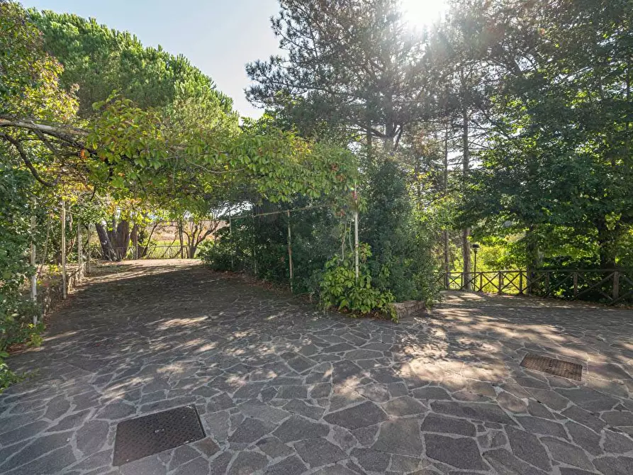 Immagine 43 di Villa in vendita  in S.P. Santa Severa - Tolfa km. 17.500 a Allumiere