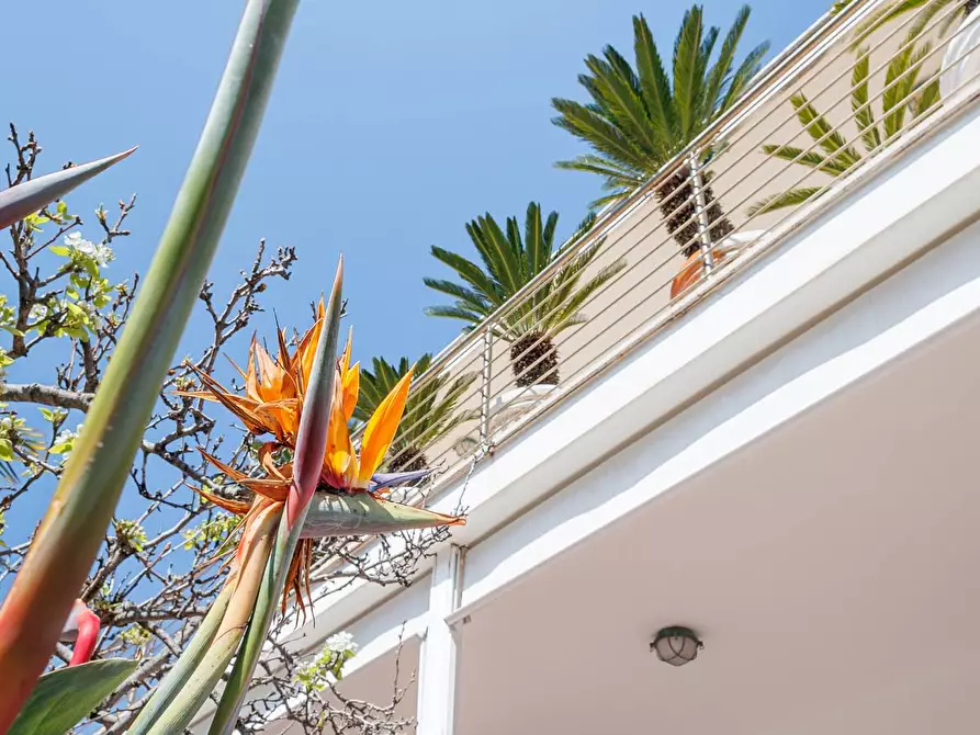 Immagine 5 di Villa in vendita  in Via Aurelia 136N a Santa Marinella