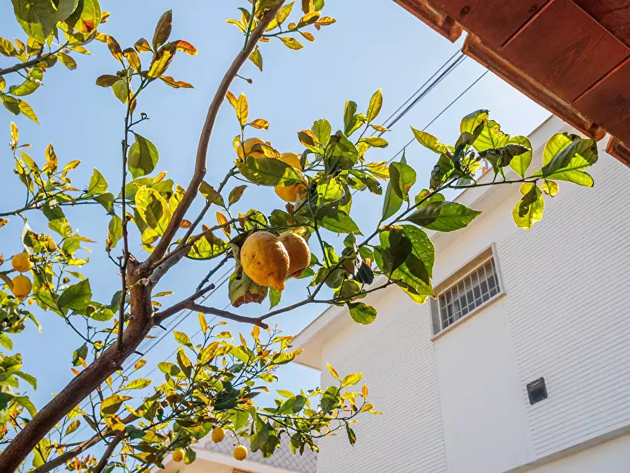 Immagine 77 di Villa in vendita  in Via Aurelia 136N a Santa Marinella