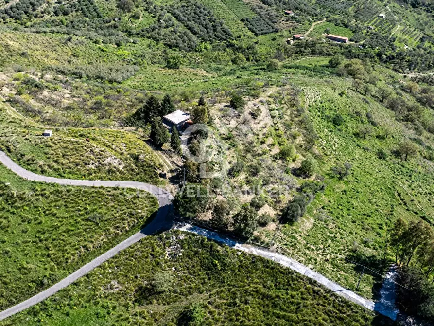 Immagine 2 di Terreno agricolo in vendita  in Contrada Ciapparotto sn a Linguaglossa