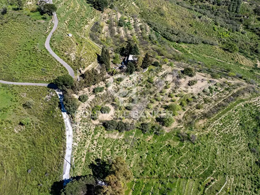 Immagine 3 di Terreno agricolo in vendita  in Contrada Ciapparotto sn a Linguaglossa