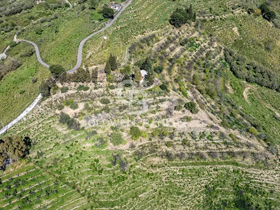 Immagine 1 di Terreno agricolo in vendita  in Contrada Ciapparotto sn a Linguaglossa