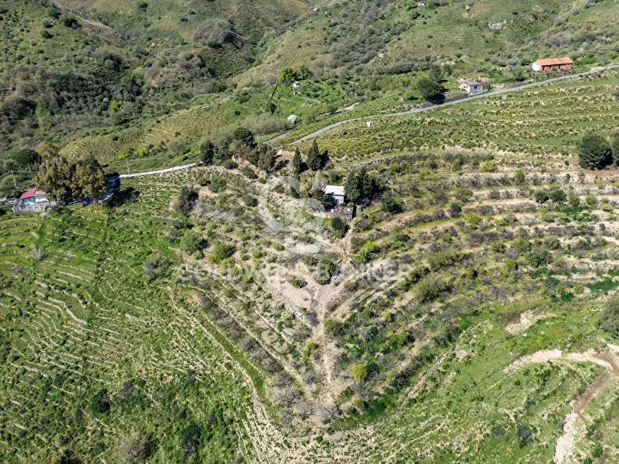 Immagine 4 di Terreno agricolo in vendita  in Contrada Ciapparotto sn a Linguaglossa
