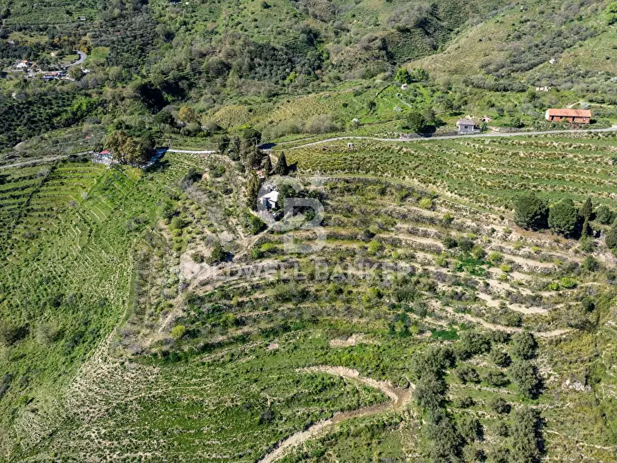 Immagine 5 di Terreno agricolo in vendita  in Contrada Ciapparotto sn a Linguaglossa