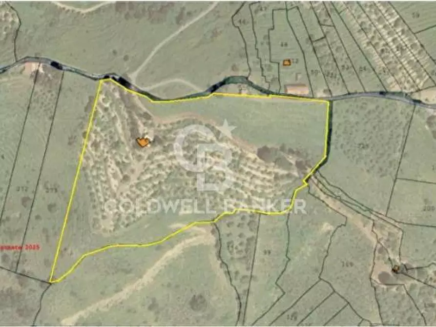 Immagine 7 di Terreno agricolo in vendita  in Contrada Ciapparotto sn a Linguaglossa