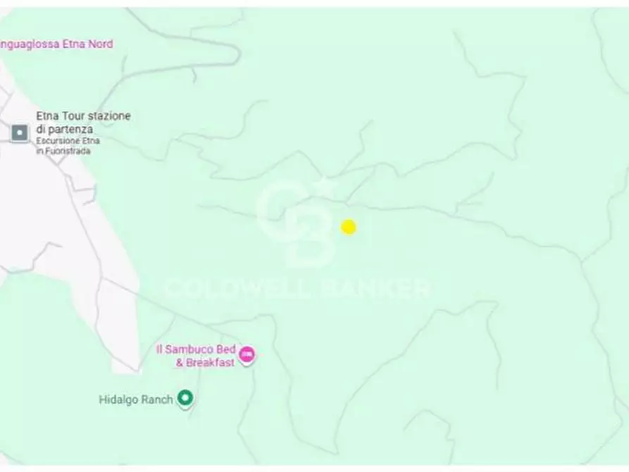Immagine 8 di Terreno agricolo in vendita  in Contrada Ciapparotto sn a Linguaglossa