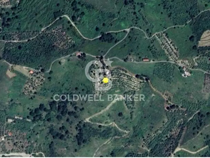 Immagine 9 di Terreno agricolo in vendita  in Contrada Ciapparotto sn a Linguaglossa