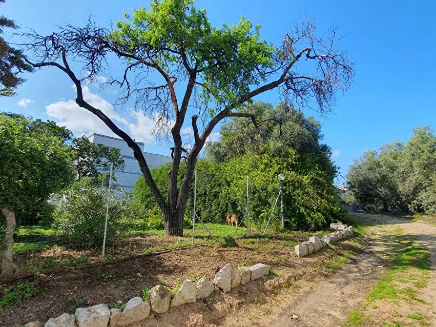 Immagine 8 di Villa in vendita  in Centrale 20 a Olbia